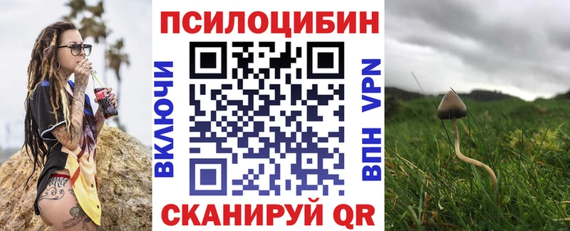 МЕГА рабочий сайт  хочу наркоту  Белорецк  Галлюциногенные грибы Psilocybe 